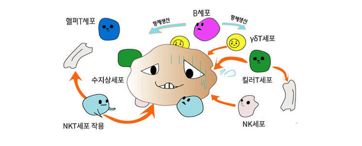 암세포 공격 메커니즘